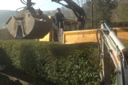 Top soil